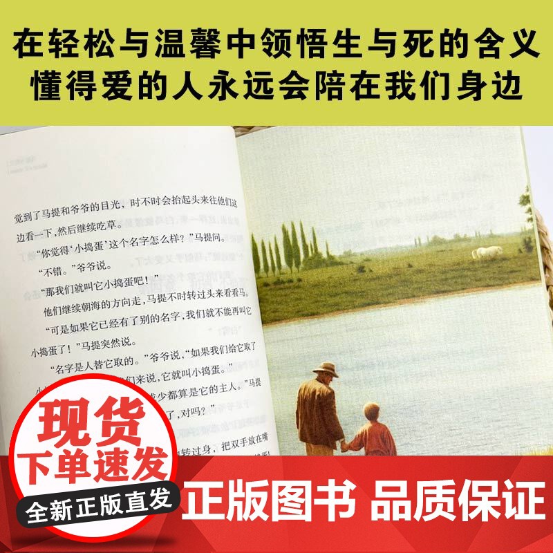 马提与祖父 国际大奖小说老师三四五六年级课外书阅读 小学生课外绘本书籍阅读 父母与孩子的睡前亲子阅读儿童成长励志故事书高清大图
