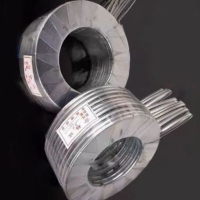 金属缠绕垫片 DN25 1寸 10片装