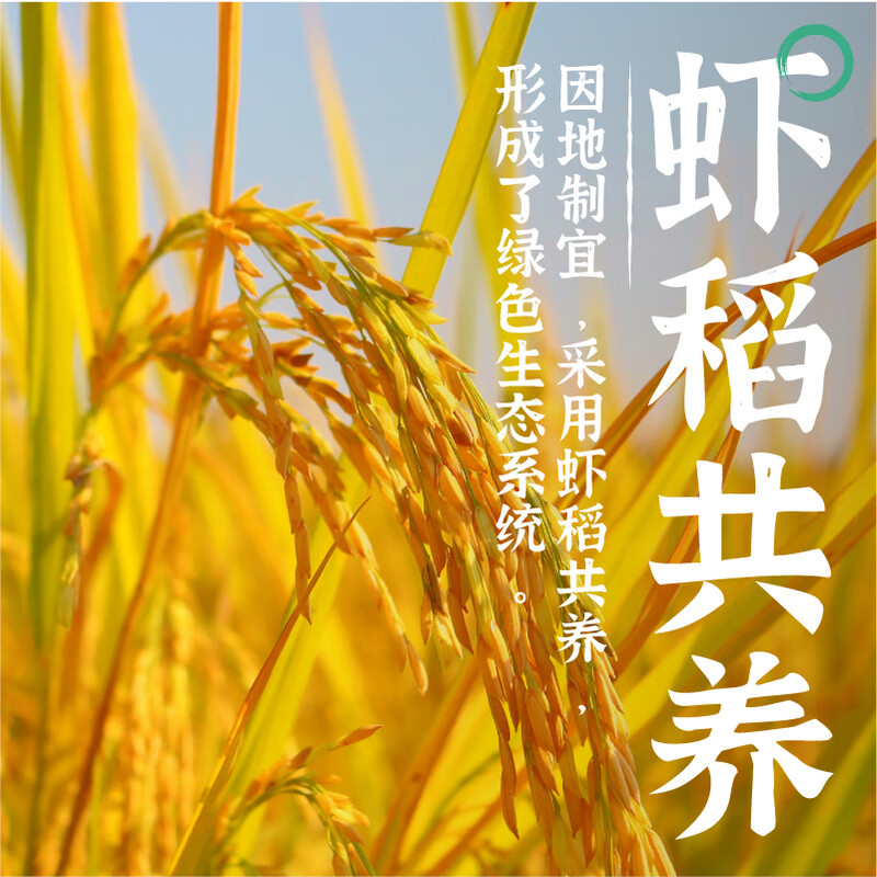 隆平农场 大米 洞庭虾稻米十斤 长粒丝苗米南方米湖南米 籼米10斤装高清大图