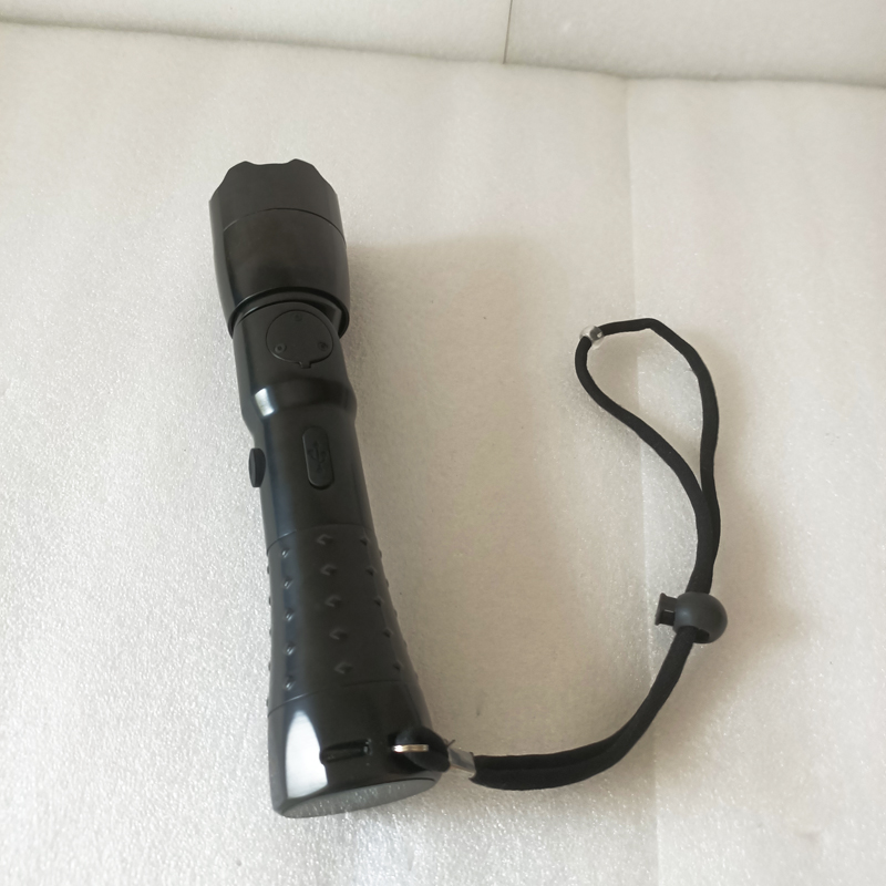 盛王盛荣 强光防爆电筒高清大图