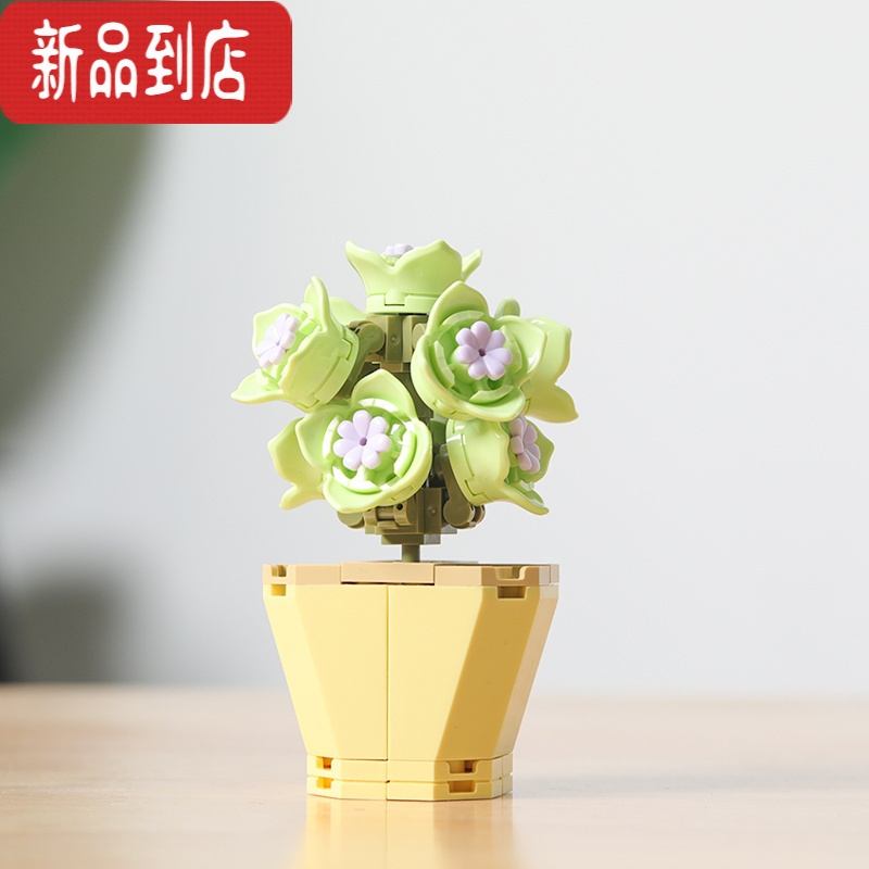 真智力兼容多肉积木节日礼物盆栽植物盲盒办公摆件JAKI花束拼装女孩