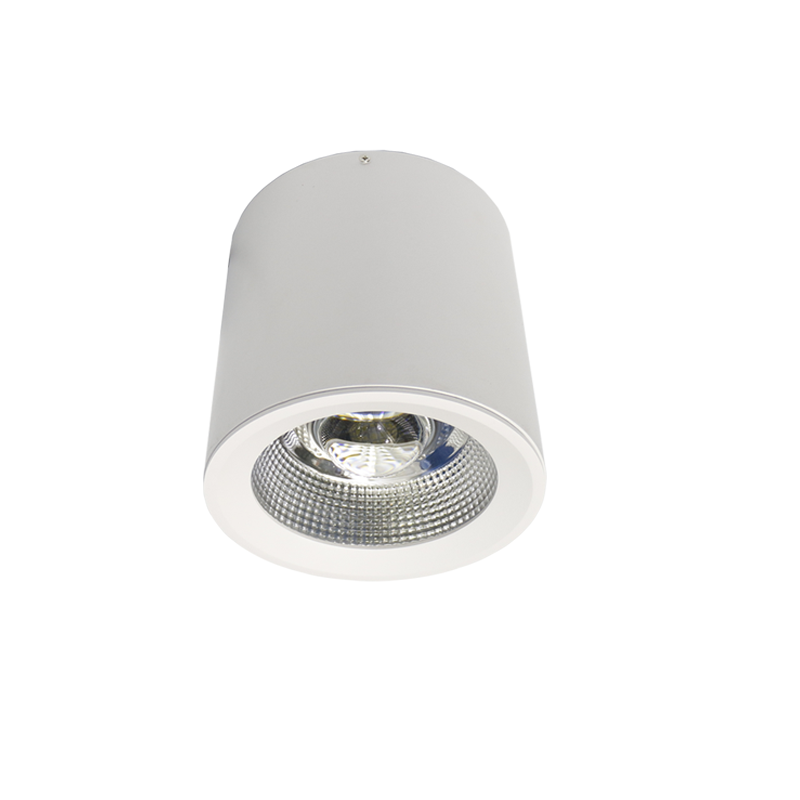 蓝立智造 LED筒灯 LG7802M-100高清大图