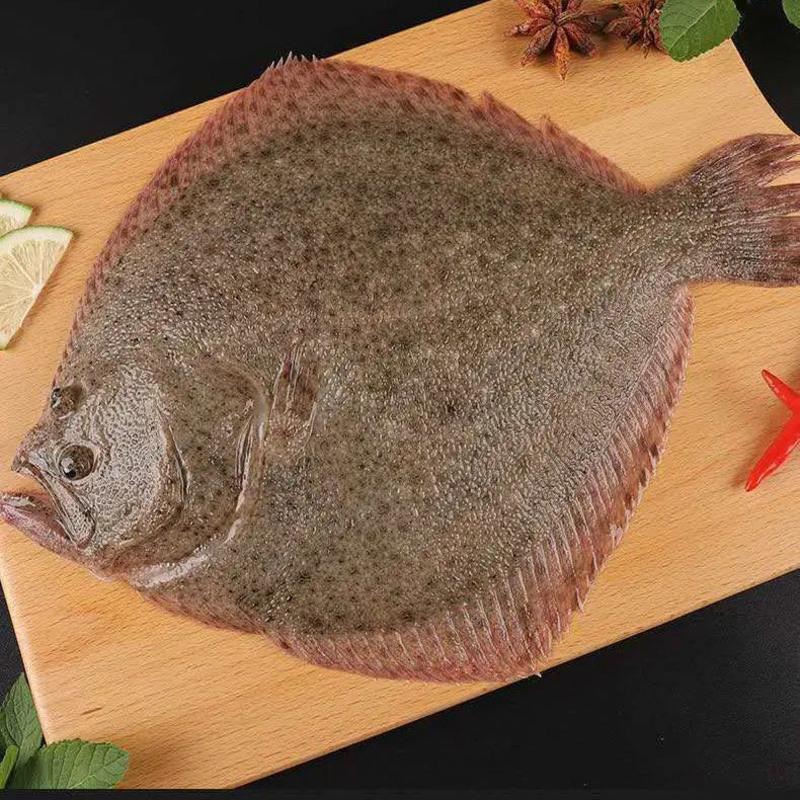 赛卡伊 [不鲜包退]多宝鱼新鲜比目鱼陵鲆鱼海捕新鲜活冻海鲜八宝鱼 5