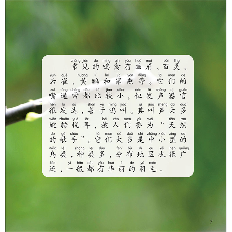 醉染图书鸟类小百科 1分钟儿童小百科9787571315高清大图