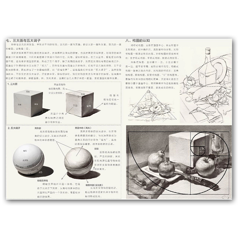 [醉染正版]素描基础训练从几何形体到静物的延伸宋艳慧尚读出版零基础素描几何形体从入门到精通石膏几何体素描教程静物素描绘画高清大图