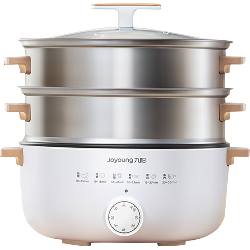 九阳(Joyoung)电蒸锅 多用途不锈钢大功率14L大容量蒸锅 多功能家用电蒸锅 电炒锅 DZ50F-GZ173