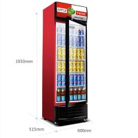寒箭 展示柜冷藏柜立式 商用冷柜饮料柜自营商用冰箱三门双门单门立式保鲜柜便利店超市冰柜啤酒柜冷饮柜 单门直冷300L