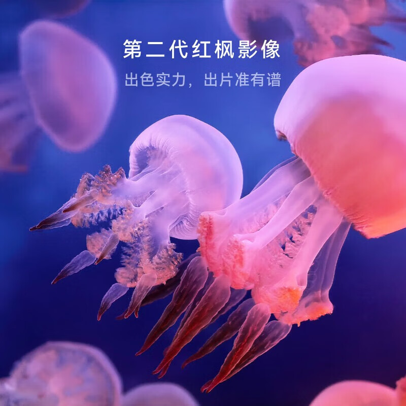 [全新]华为Mate X7 16+1TB 典藏版 寰宇红 折叠手机 麒麟9030 Pro芯 卫星通信 第二代红枫影像 鸿蒙AI 商务旗舰手机高清大图