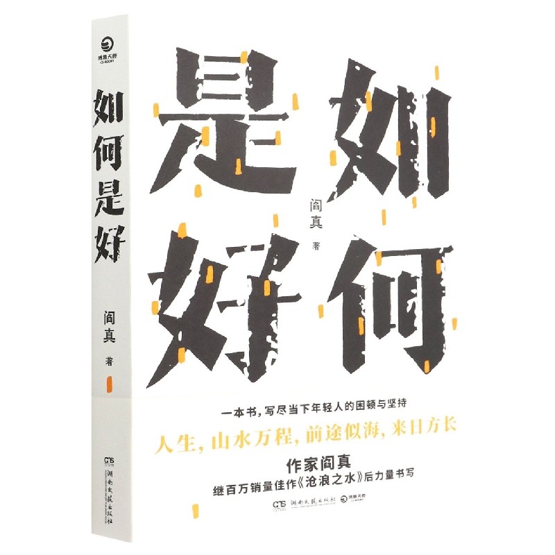 [正版]如何是好阎真力量书写当代年轻人的人生之书困顿与坚持人生山水万程前途似海来日方长生存与尊严对抗我们如何是好书店书籍高清大图