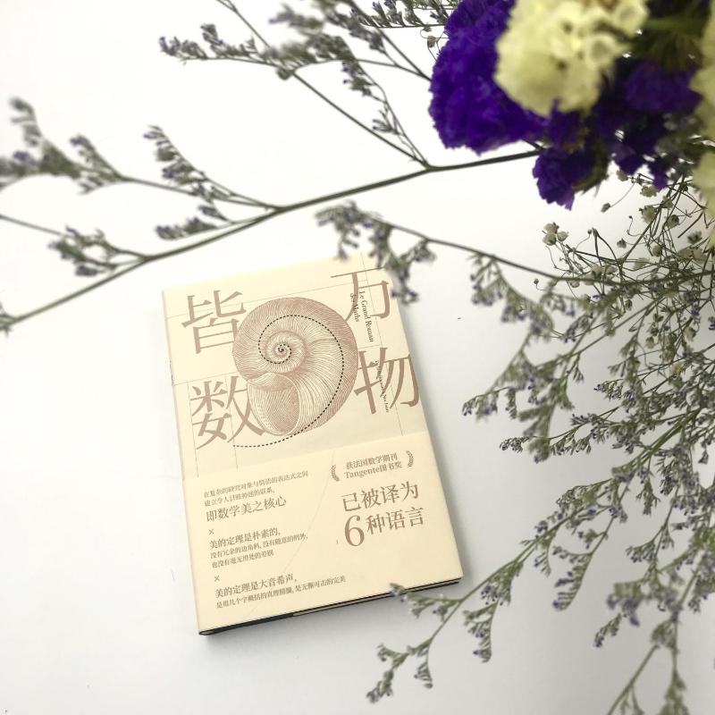 万物皆数:从史前时期到人工智能跨越千年的数学之旅/【法】米卡埃尔.洛奈