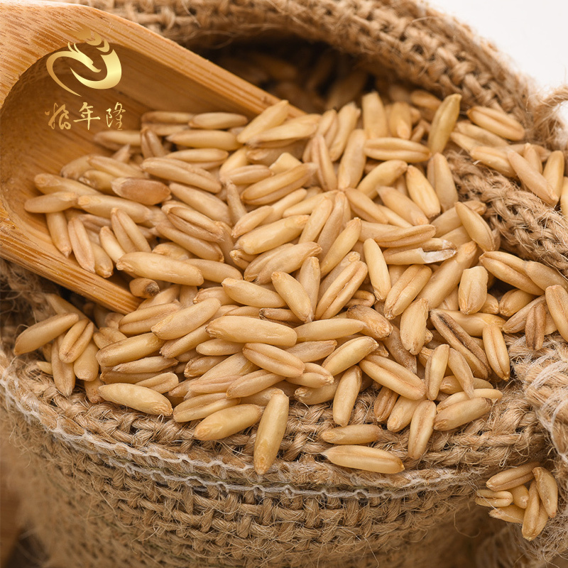 粮年隆燕麦米全胚芽五谷杂粮粗粮燕麦饭生燕麦仁裸燕麦480g