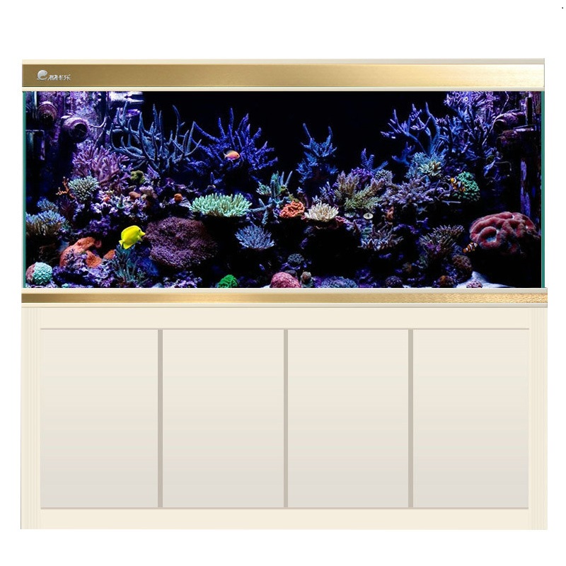 超白玻璃龙鱼缸中大型鱼缸水族箱底滤生态大鱼缸1.2米1.5米高清大图