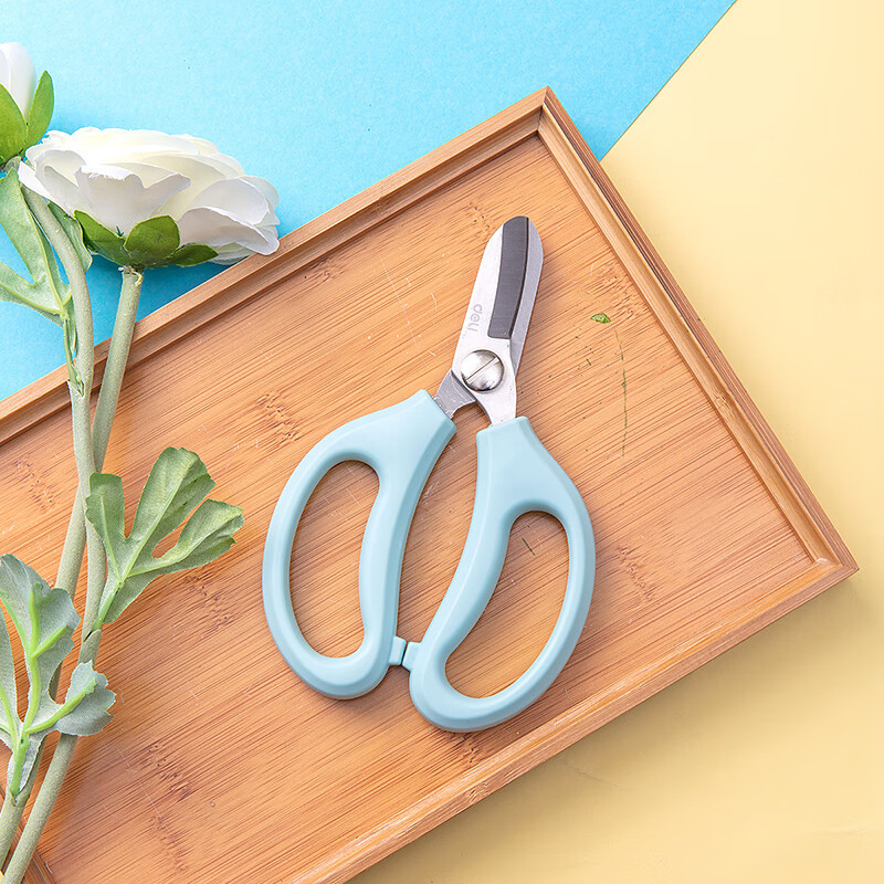 得力(deli)77751花艺剪(单位:把)蓝色