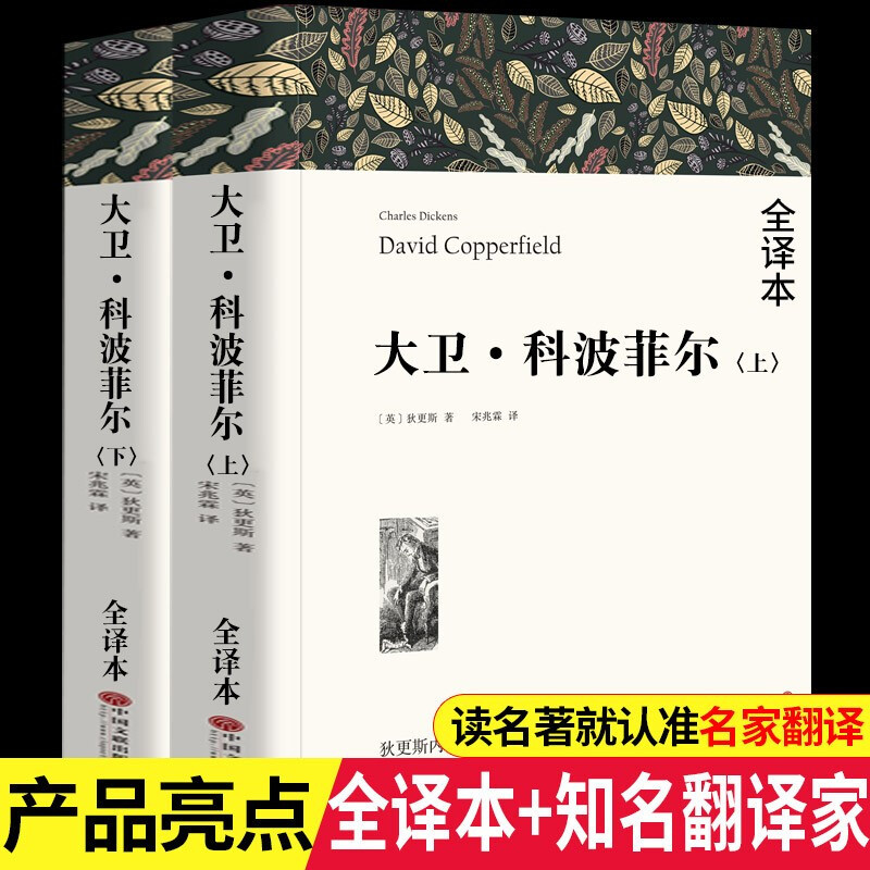 战争与和平(上下册) [正版]高一必读课外书大卫科波菲尔复活老人与海乡土中国红楼梦百年孤独高中必读名著新语文必读课外书世
