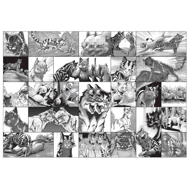 正版新书]新的预言3:黎明重现/猫武士二部曲于小宝9787514849387高清大图