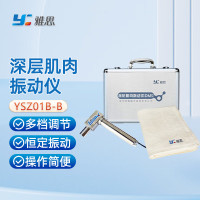 雅思（Y） 深层肌肉振动仪 六档变频 YSZ01B-B