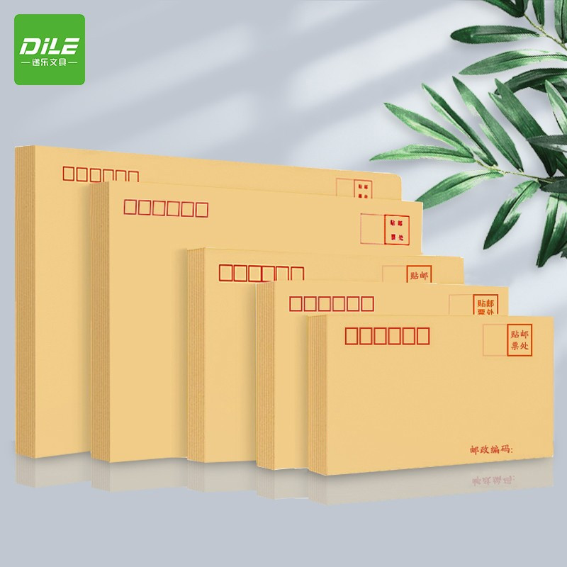 递乐9号牛皮纸信封4609九号信封(100个装)