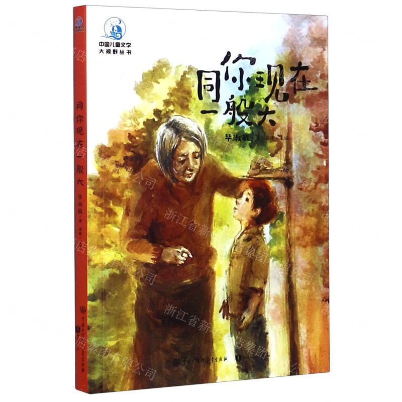 [N]同你现在一般大/中国儿童文学大视野丛书-9787520207478高清大图