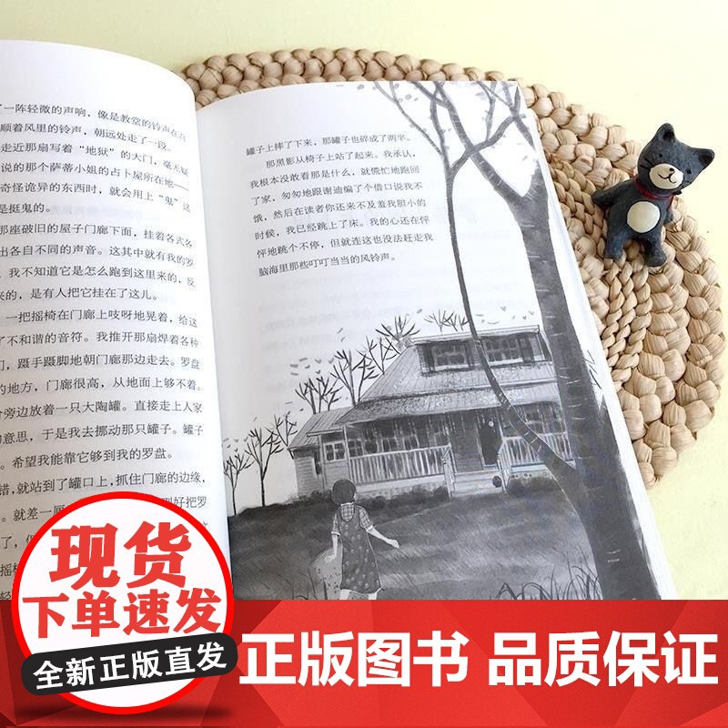 阿比琳的夏天 长青藤国际大奖小说书系第3辑青少年小学生三四五六年级课外书阅读外国儿童文学成长故事书读物书常青藤正版高清大图