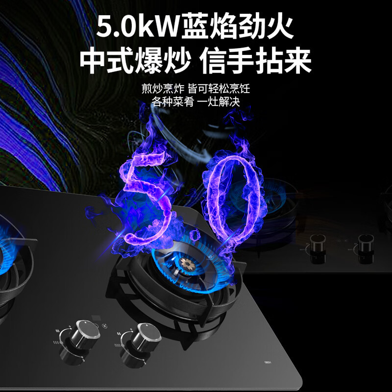 樱花JZY-GE01燃气灶双灶家用 天然气灶双灶具 5.0kW家用猛火灶双灶独立定时兼容多尺寸 台嵌两用(液化气)