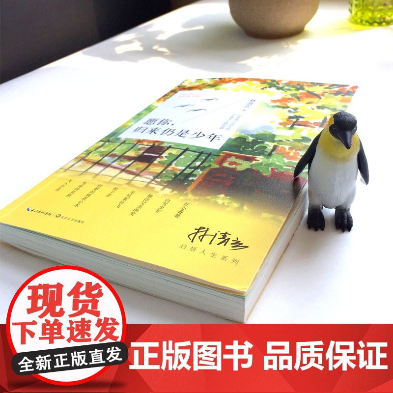 正版 愿你归来仍是少年 全彩插图本 林清玄启悟人生系列 现当代文学散文精选集近代随笔故事 多篇文章入选课本及高考 书高清大图