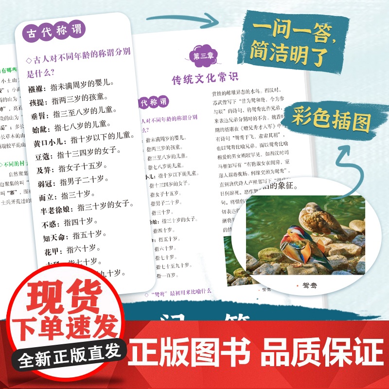 中国文化常识1000问中华文明演进发展过程中国传统文化知识精华手册古典文学历史文化常识百科大全中小学生课外知识读物国学经高清大图