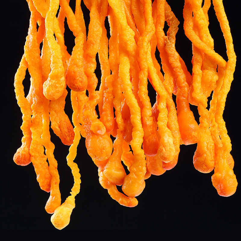 新鲜虫草花1斤干货500g正品特级孢子头北金虫草菇煲汤材料蛹虫草