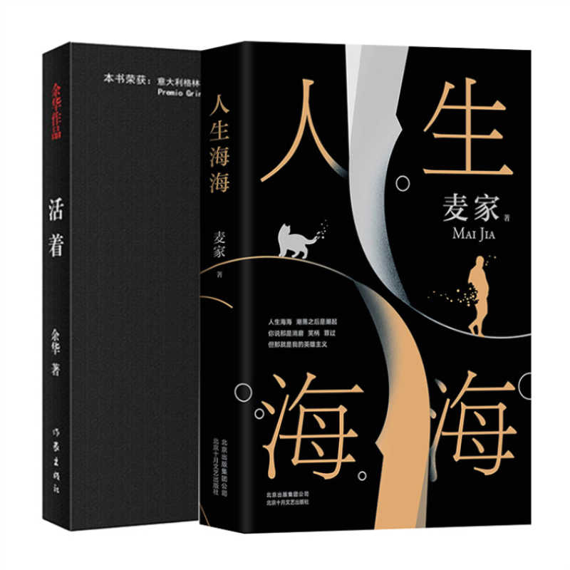 人生海海 麦家著