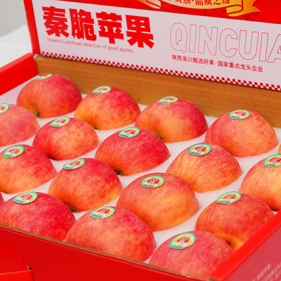【新品种秦脆苹果】陕西洛川秦脆苹果水果20枚85mm大果 新鲜水果
