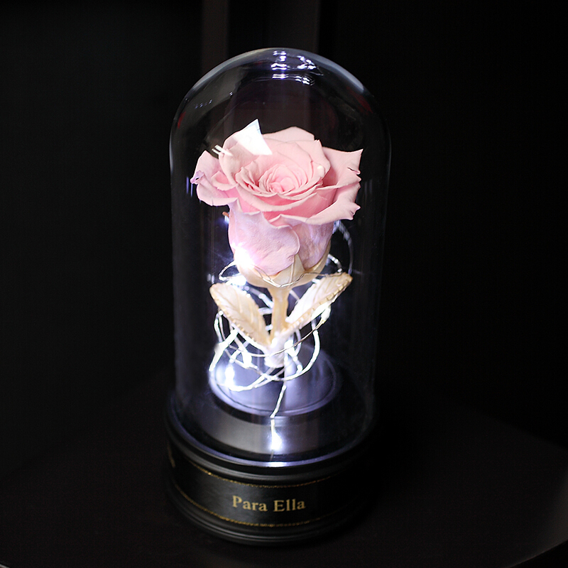 Para Ella 012系列永生花红色玫瑰花[冷灯光玻璃罩音乐礼盒]鲜花速递情人节创意礼物生日纪念日礼物送女友女生