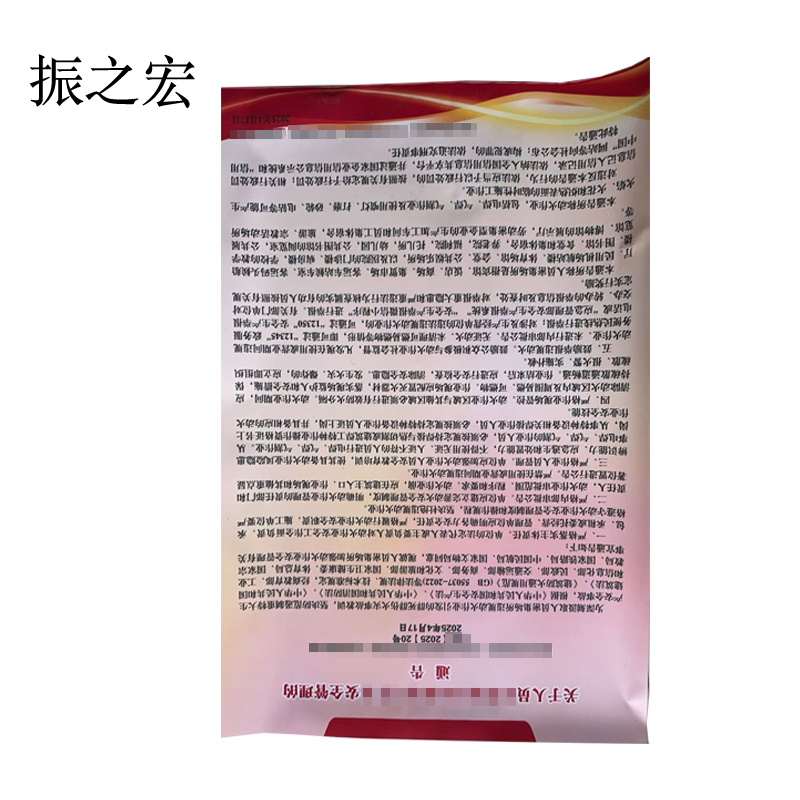 振之宏 设计挂图 52*76CM 块高清大图