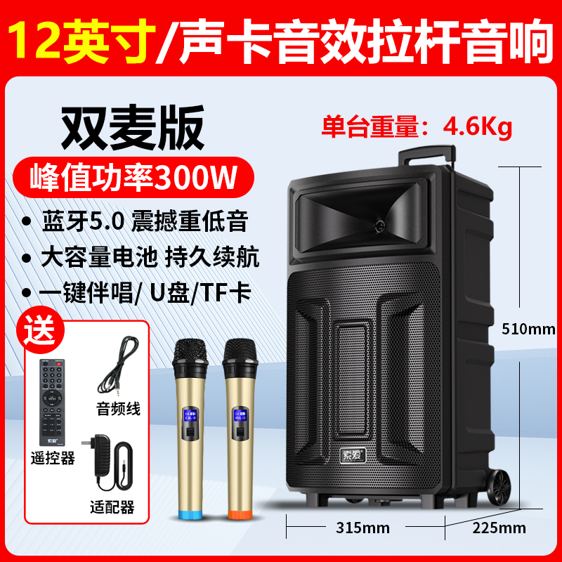 索爱(soaiy)SA-T21 广场舞大功率低音炮便携户外k歌电木吉他乐器音箱蓝牙拉杆音响 单麦高清大图