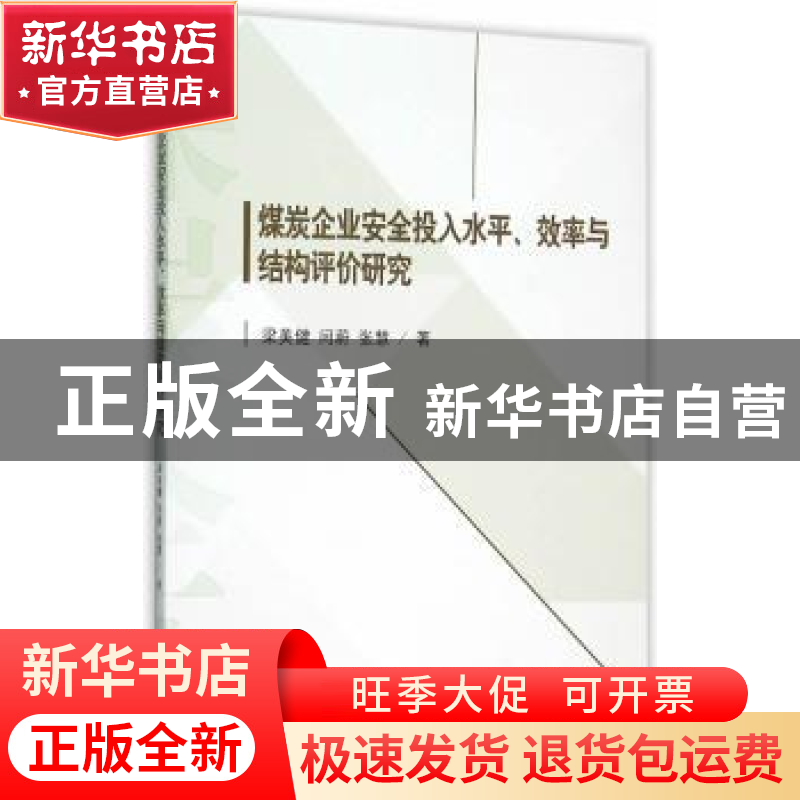 正版 煤炭企业安全投入水平、效率与结构评价研究 梁美健,闫蔚,高清大图