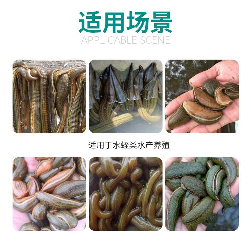 应激VC维生素C脱皮脱粘无力迟钝缓慢宽体菲牛蚂蝗蟥高清大图