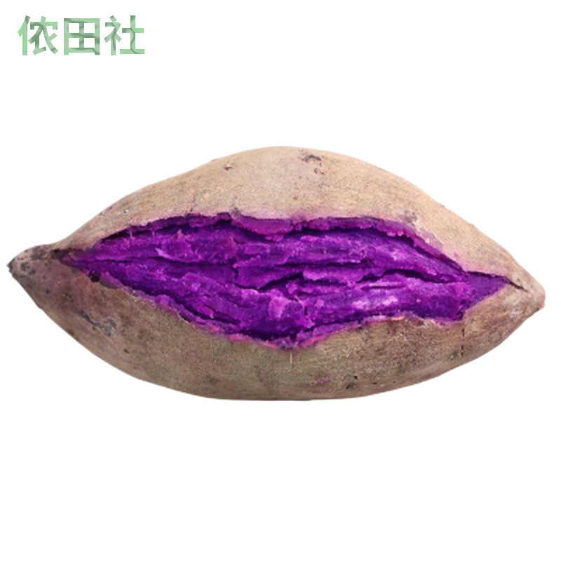 侬田社 Nongtianshe Com 根茎类紫薯新鲜紫薯山东沂蒙山紫薯沙地紫薯地瓜紫心紫地瓜10斤中大果 价格图片品牌报价 苏宁易购鑫泰美生鲜专营店