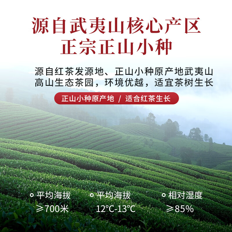 小茶日记DSCC-XTXZ-200g小茶日记茶叶 武夷山红茶正山小种200g新茶 好茶叶高清大图