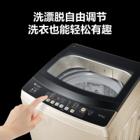 小天鹅（LittleSwan）10kg公斤家用大容量 直驱变频全自动波轮洗衣机大瀑布水流 TB100S28DMG 摩卡金