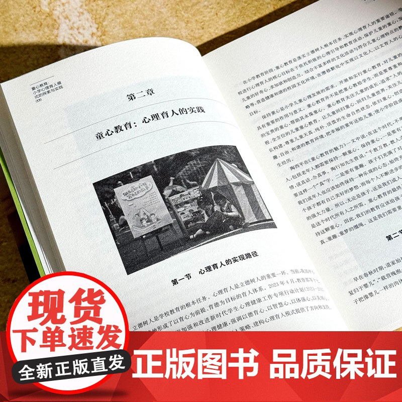 童心教育 小学心理育人模式的探索与实践 童心教育实践机制 儿童心理发展 小学教师读物 华东师范大学出版社高清大图