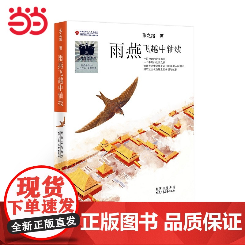 《雨燕飞越中轴线》(2023年百班千人暑期书单 四年级阅读)高清大图