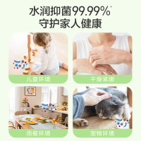 滴露泡沫洗手液西柚清新250ml(单位:件)