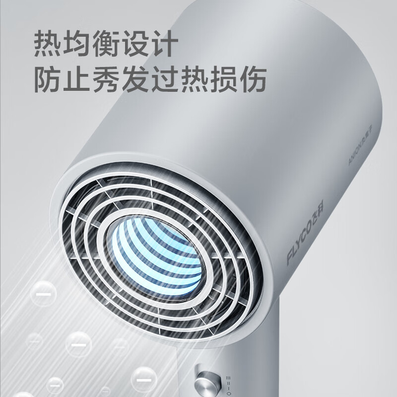 飞科电吹 风 FH6312高清大图