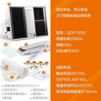 奥普(AUPU)浴霸QDP1020C(银)吊顶式风暖浴霸 照明一体纯平吸顶嵌入式浴霸换气扇 适合多种吊顶安装