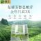 酥田明前上市安吉白茶绿茶茶叶明前精品头采白茶礼盒100g装