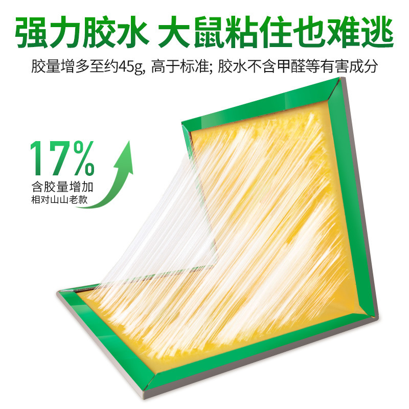 粘鼠板5张装