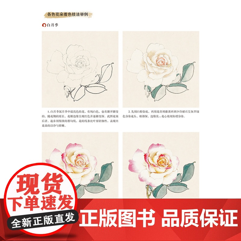 养心斋国画技法详解.工笔花鸟卷高清大图