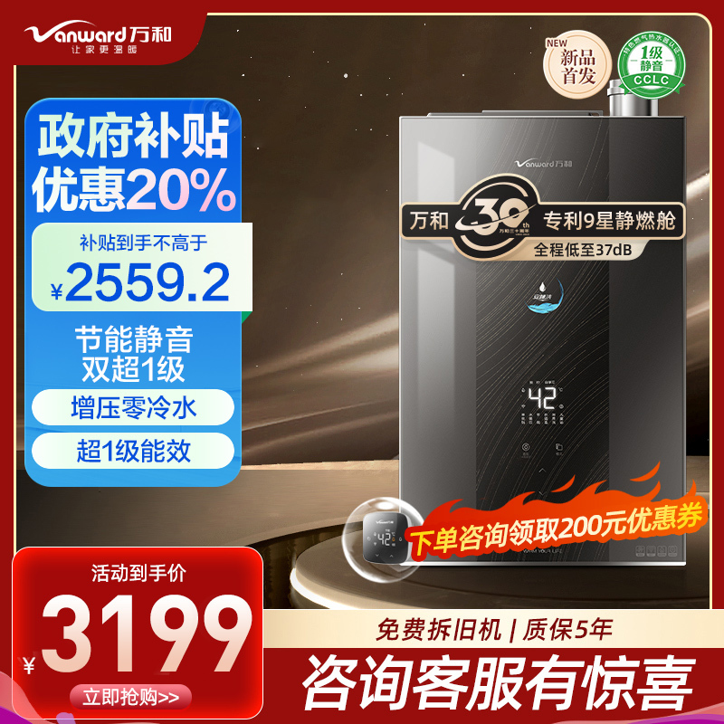 万和 一级能效 16升零冷水燃气热水器天然气 水量伺服恒温 超一级能效 小体积省空间 五重防冻LS9D16