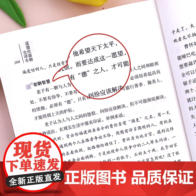 道德经正版原著老子新解全译本原文译文校注释智慧启蒙国学经典书籍轻松读懂老子中国哲学启蒙读物处世思想成功励志书修身养性治学高清大图