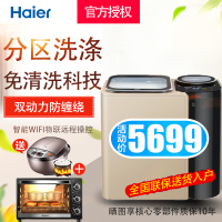 Haier/海尔 金色双子10公斤子母分区 双动力 免清洗 宝宝洗 全自动波轮 直驱变频 家用FMS100-B261U1