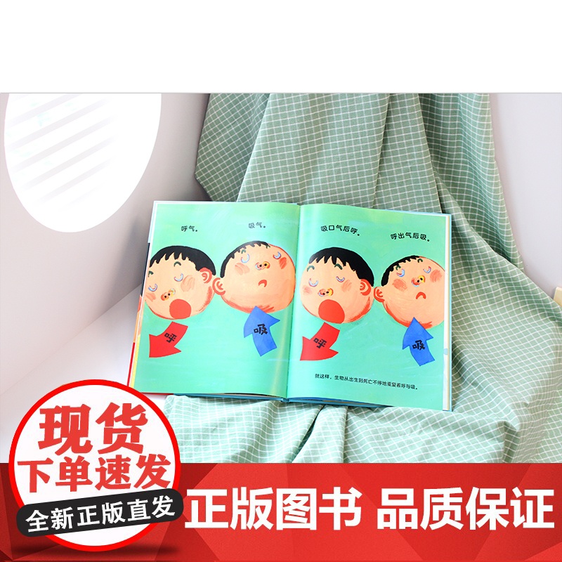 魔法象·呼吸 (日)中川宏贵/著 (日)北村裕花/绘 季颖/译 4-6岁 绘本 儿童科普 生活科普 呼吸 广西师范大学出高清大图