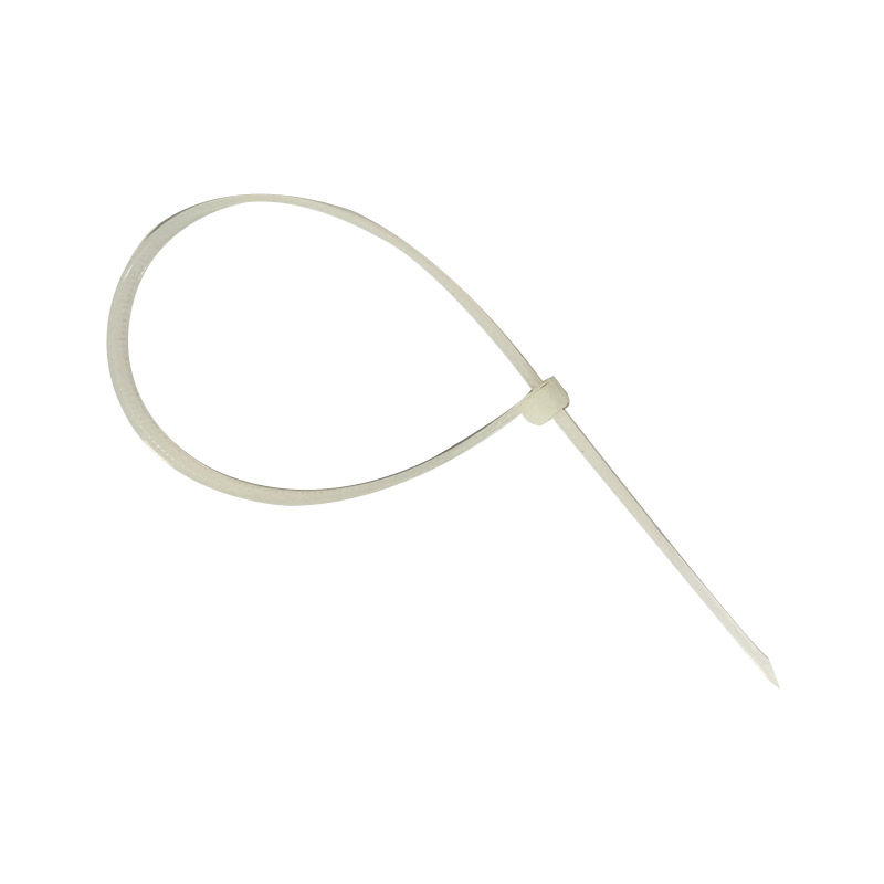 立伟铁牛尼龙扎带3*100mm 根高清大图